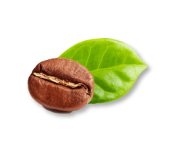 Кава в зернах